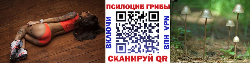Галлюциногенные грибы Cubensis  Купить где  Спасск 